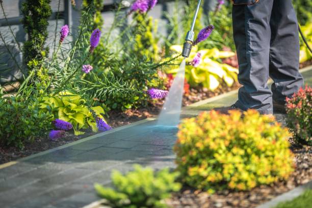 Best Spring Cleaning  in Clinton, PA